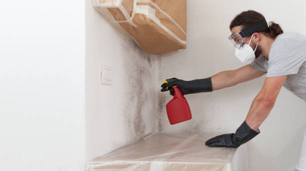 Professional Mold Remediation technician working in Buckley, MI